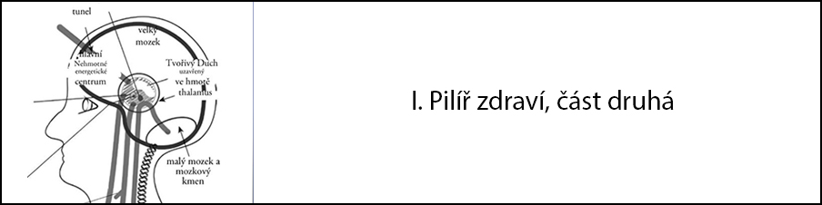 1. pilíř zdraví, část druhá